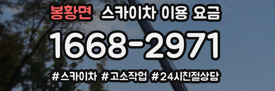 봉황면 스카이차 이용 요금
