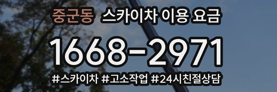 중군동 스카이차 이용 요금