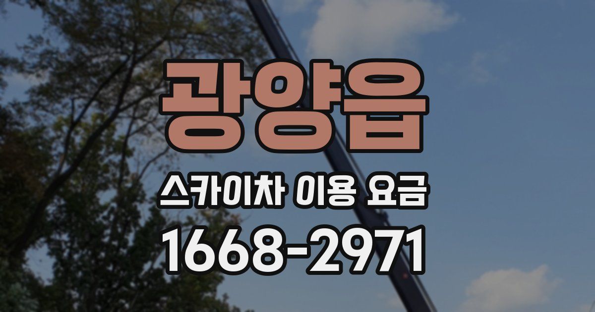 광양읍 스카이차 이용 요금