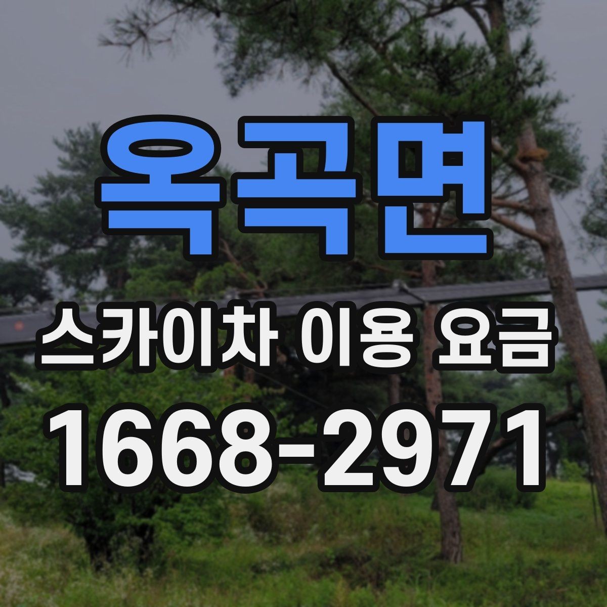옥곡면 스카이차 이용 요금 비교할 때 기준이 되는 항목