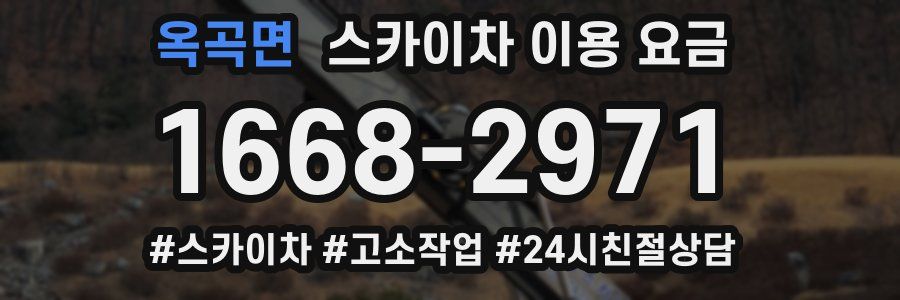 옥곡면 스카이차 이용 요금