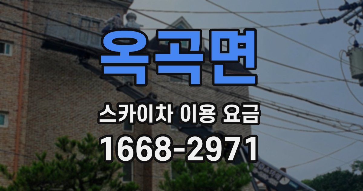 옥곡면 스카이차 이용 요금