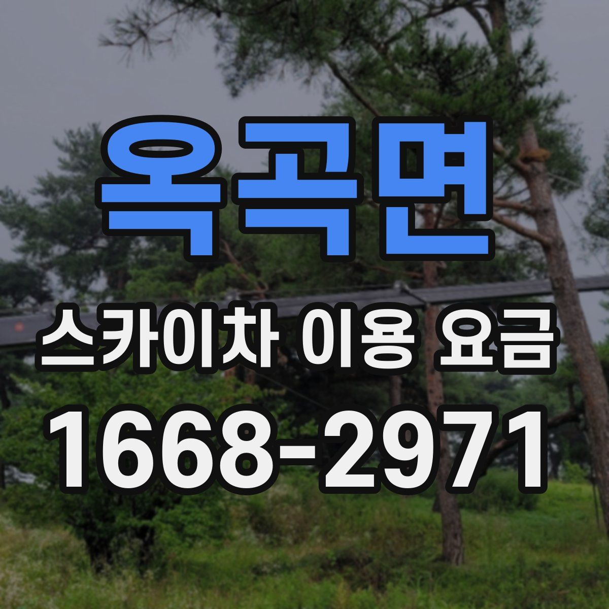 옥곡면 스카이차 이용 요금