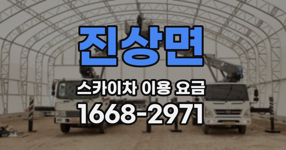 진상면 스카이차 이용 요금