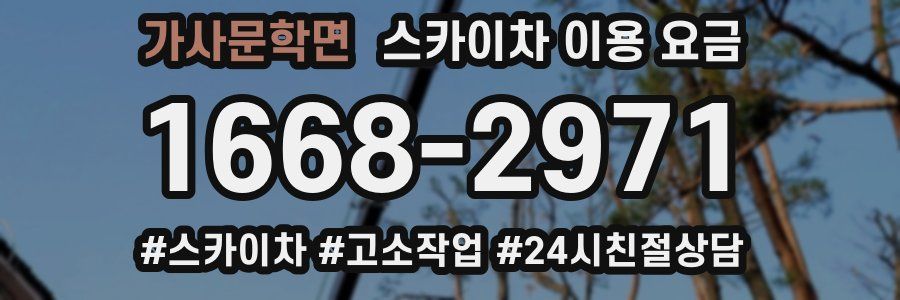 가사문학면 스카이차 이용 요금