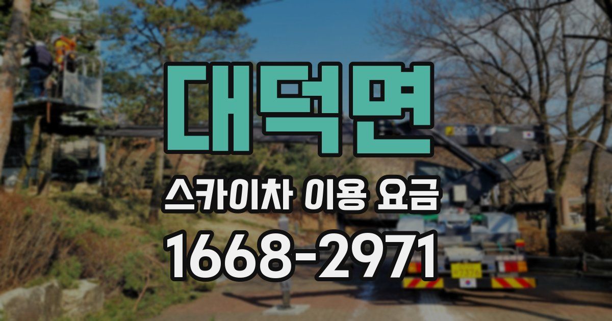 대덕면 스카이차 이용 요금