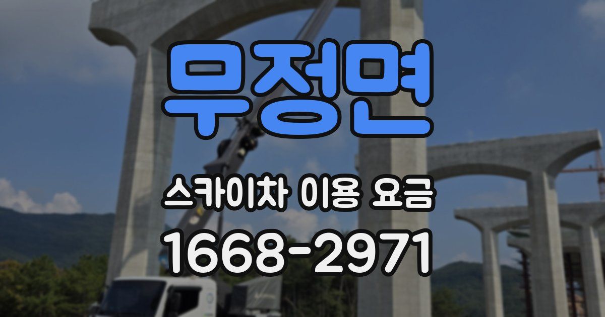 무정면 스카이차 이용 요금