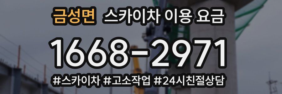 금성면 스카이차 이용 요금