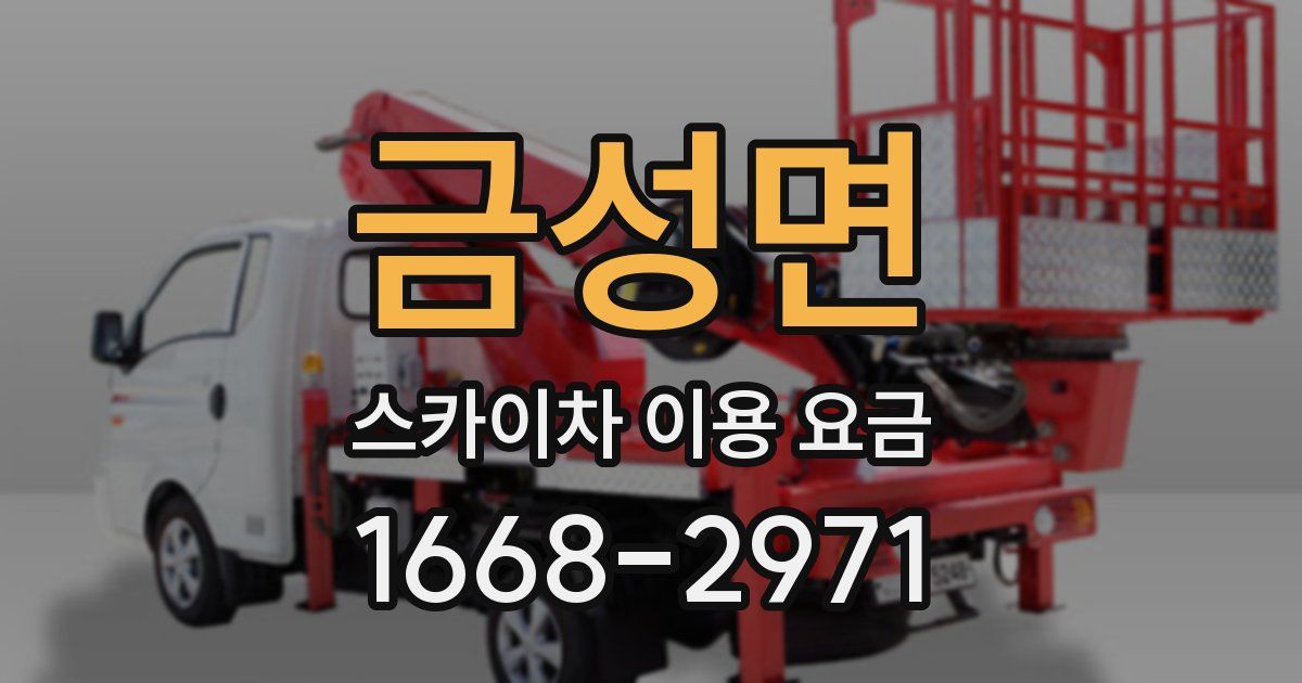 금성면 스카이차 이용 요금