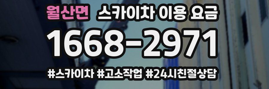 월산면 스카이차 이용 요금