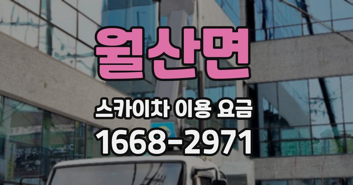 월산면 스카이차 이용 요금