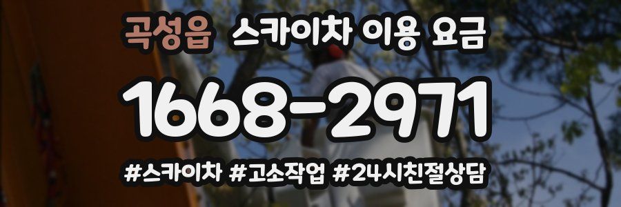 곡성읍 스카이차 이용 요금