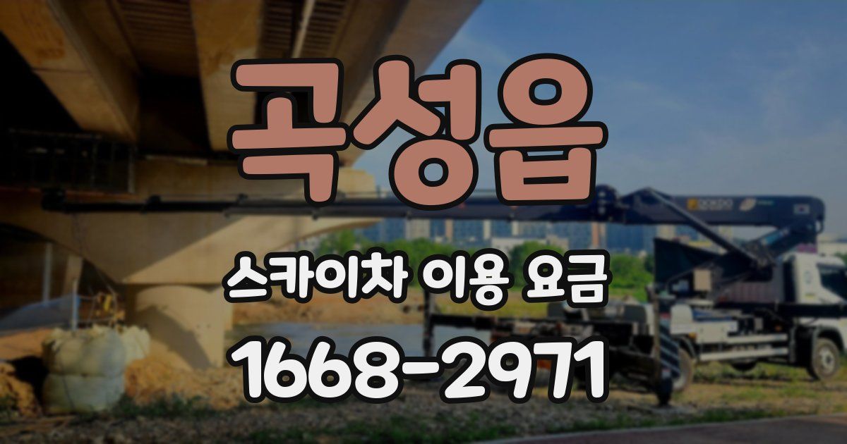 곡성읍 스카이차 이용 요금