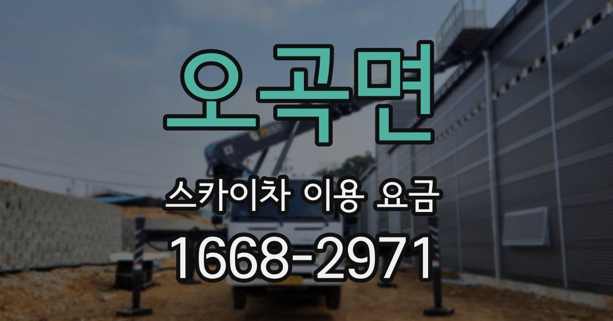오곡면 스카이차 이용 요금