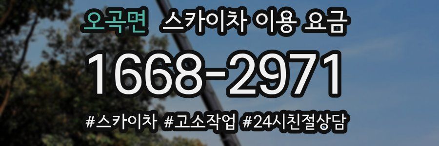 오곡면 스카이차 이용 요금