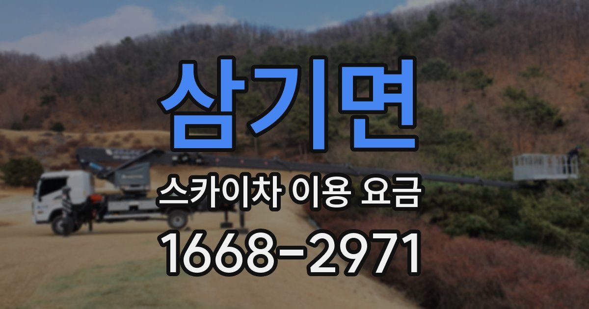 삼기면 스카이차 이용 요금