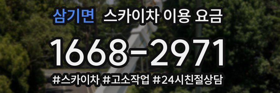 삼기면 스카이차 이용 요금
