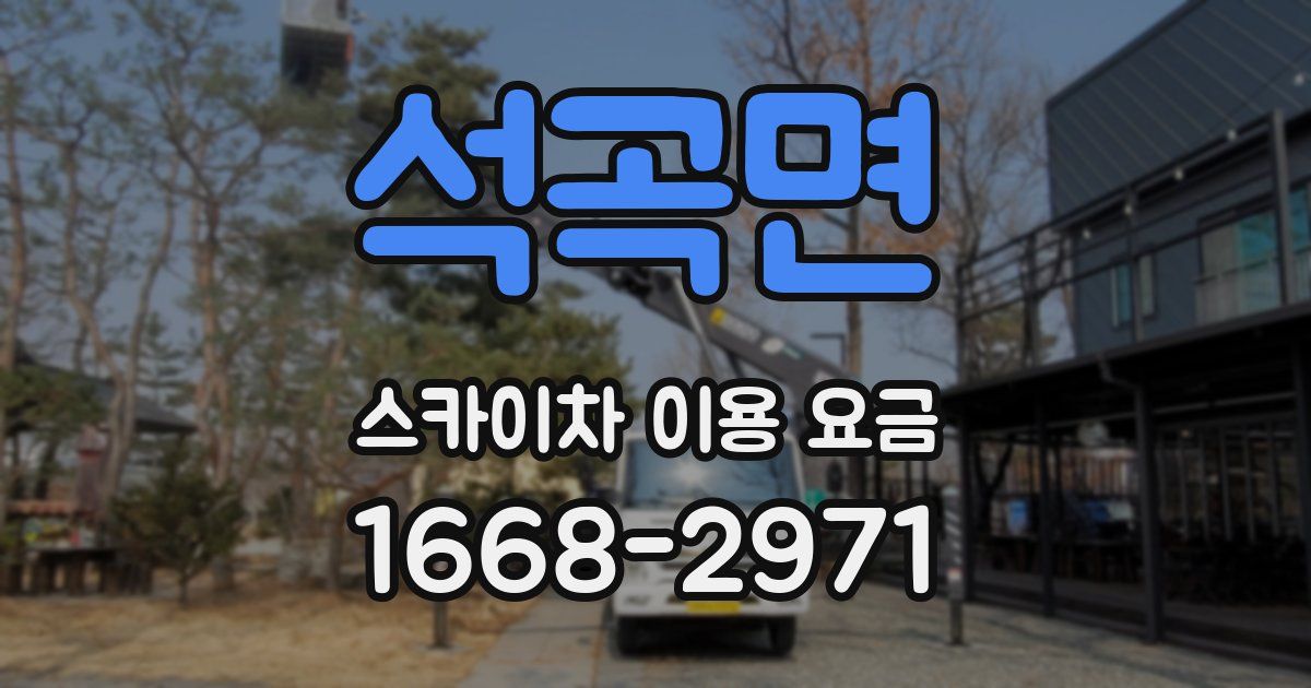 석곡면 스카이차 이용 요금