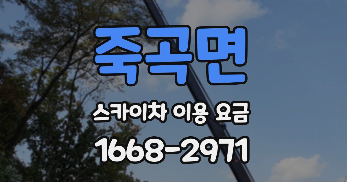 죽곡면 스카이차 이용 요금