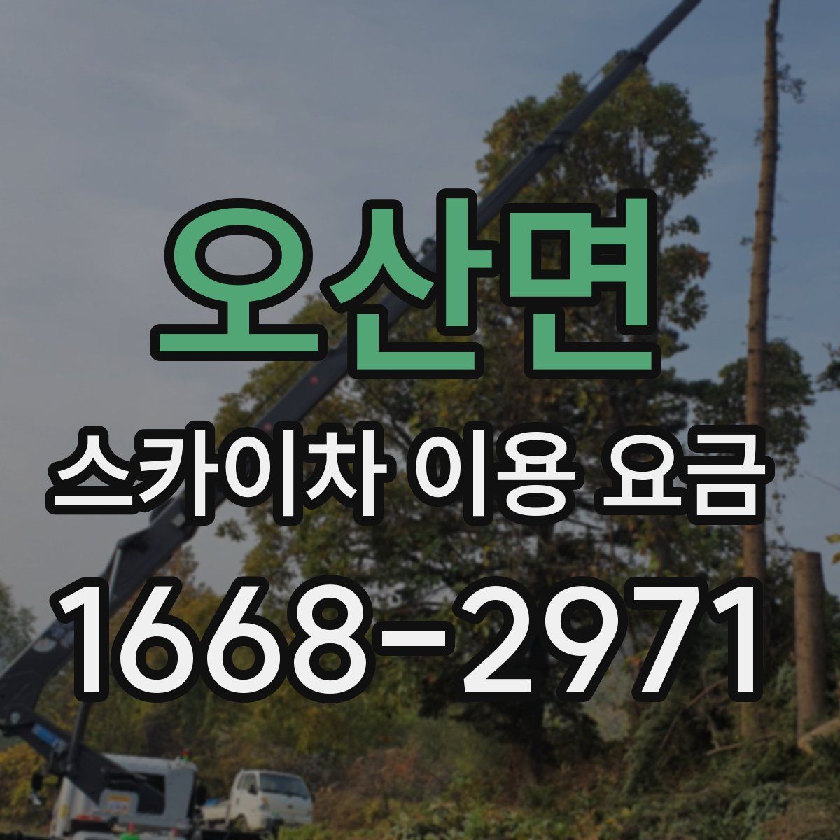 오산면 스카이차 이용 요금