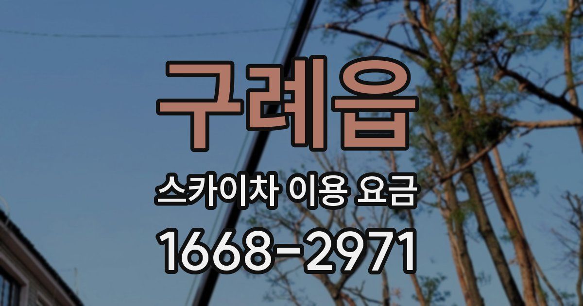 구례읍 스카이차 이용 요금