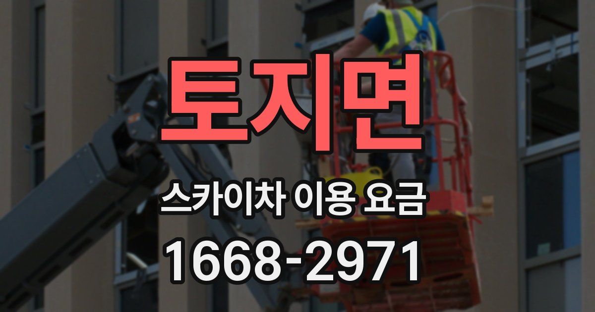 토지면 스카이차 이용 요금