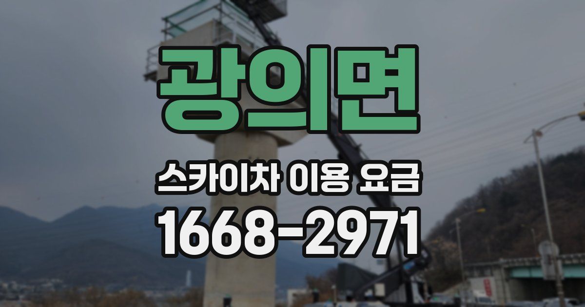 광의면 스카이차 이용 요금