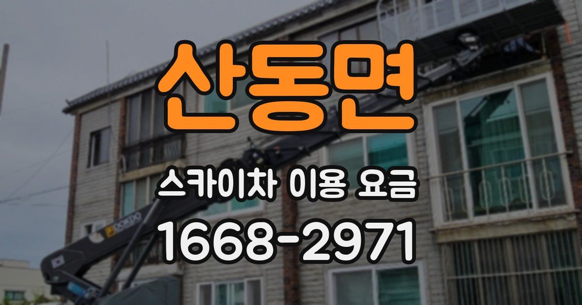 산동면 스카이차 이용 요금