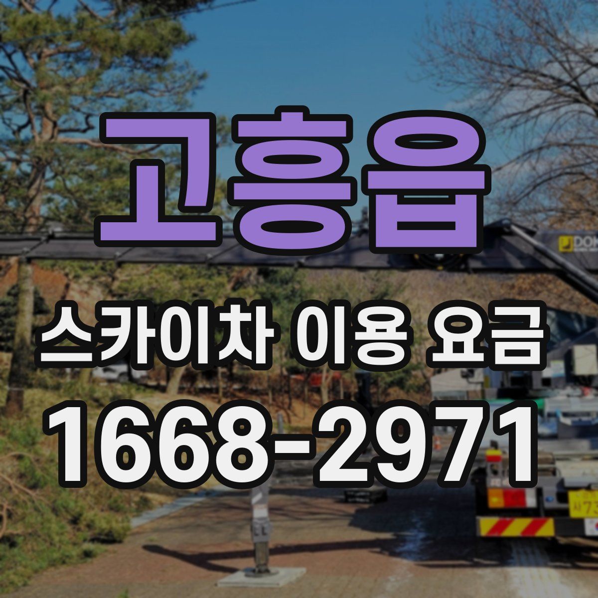 고흥읍 스카이차 이용 요금