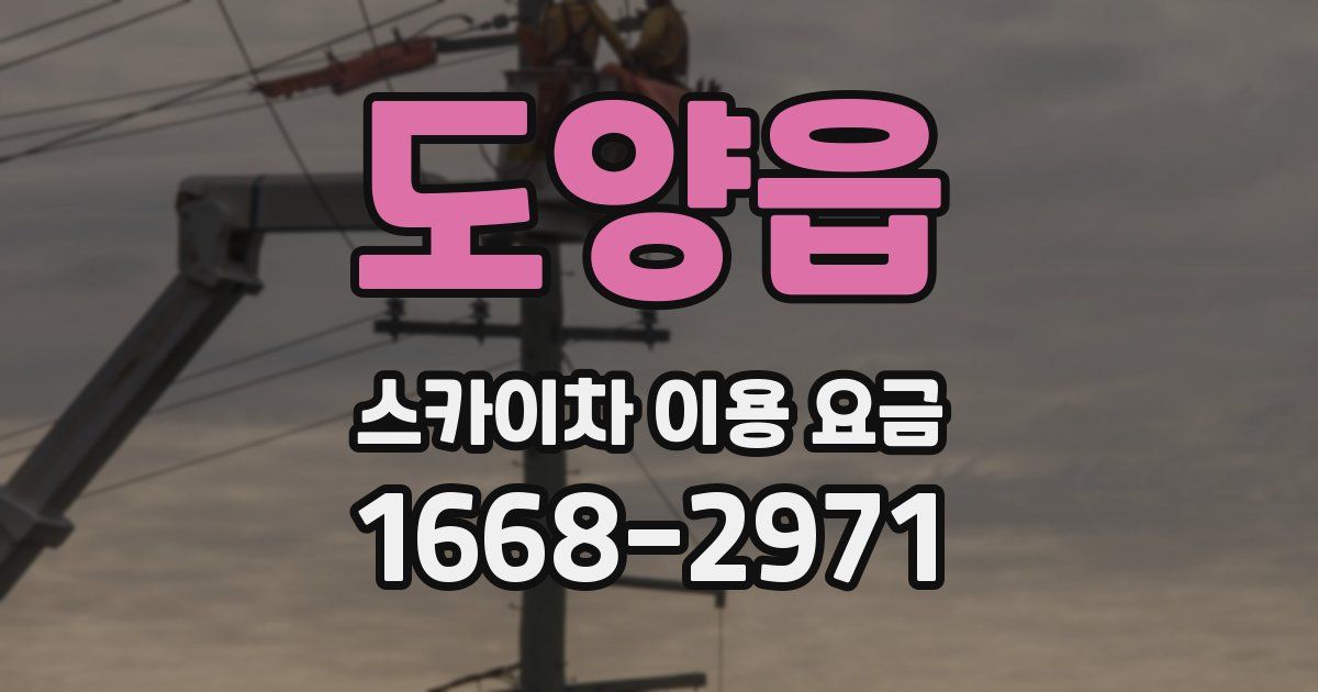 도양읍 스카이차 이용 요금