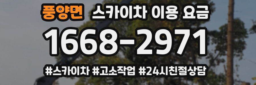 풍양면 스카이차 이용 요금