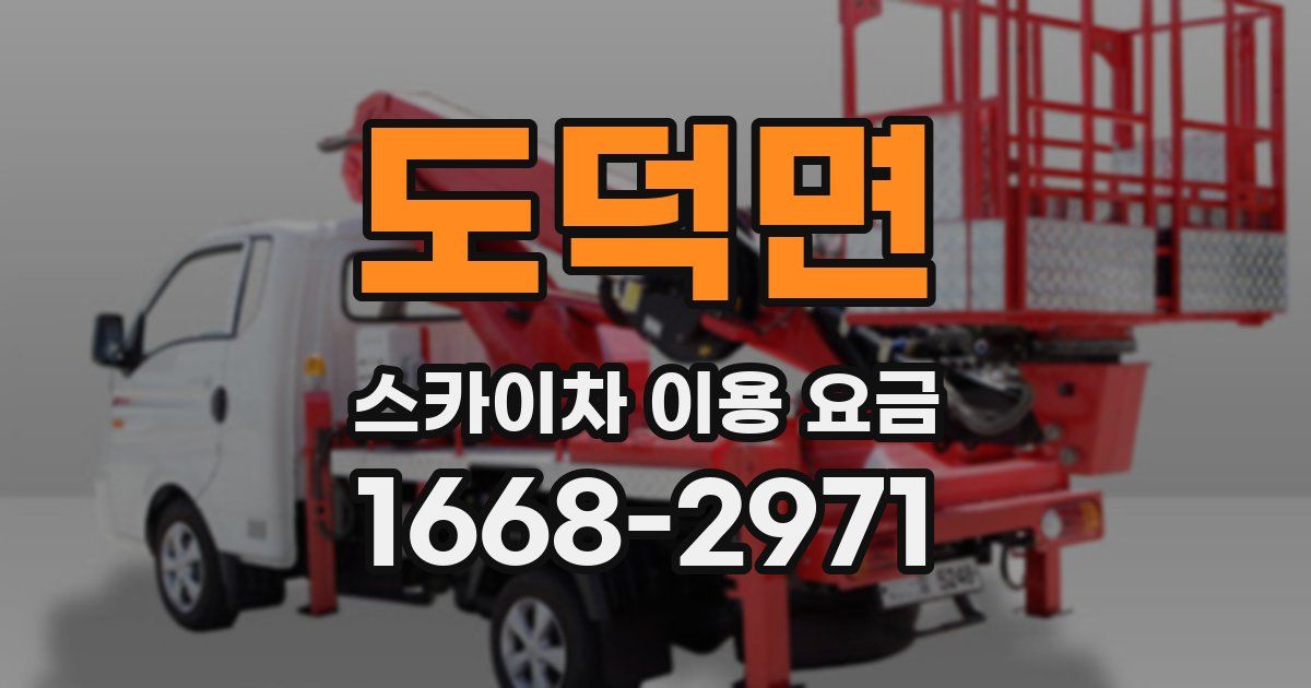 도덕면 스카이차 이용 요금
