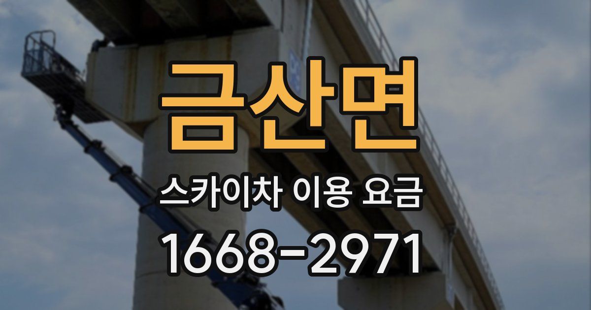 금산면 스카이차 이용 요금