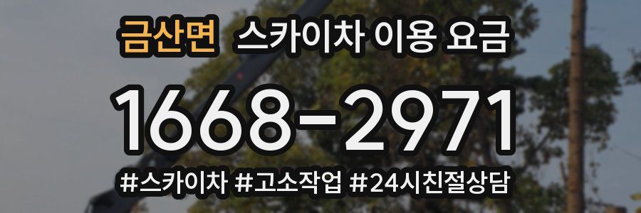 금산면 스카이차 이용 요금