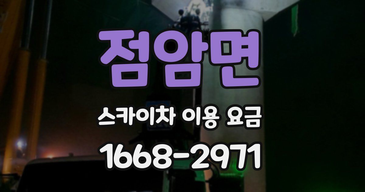 점암면 스카이차 이용 요금