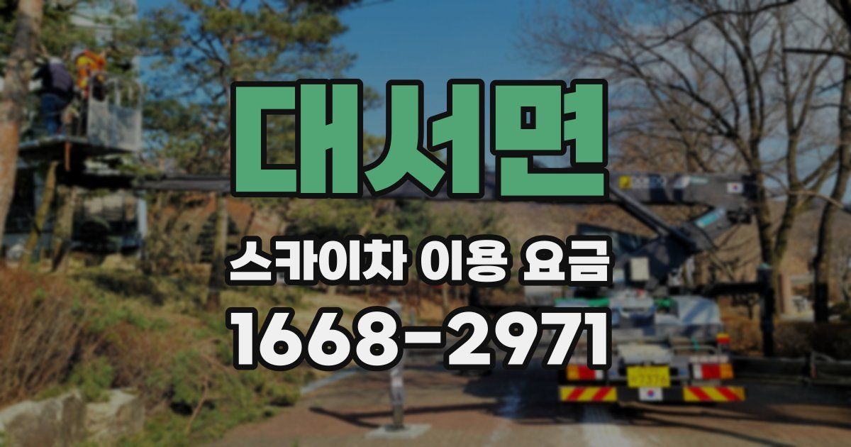 대서면 스카이차 이용 요금