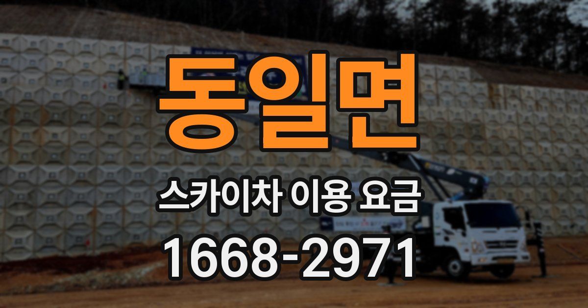 동일면 스카이차 이용 요금