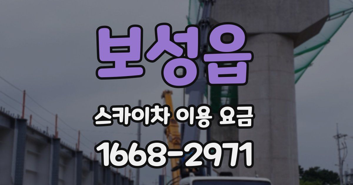 보성읍 스카이차 이용 요금