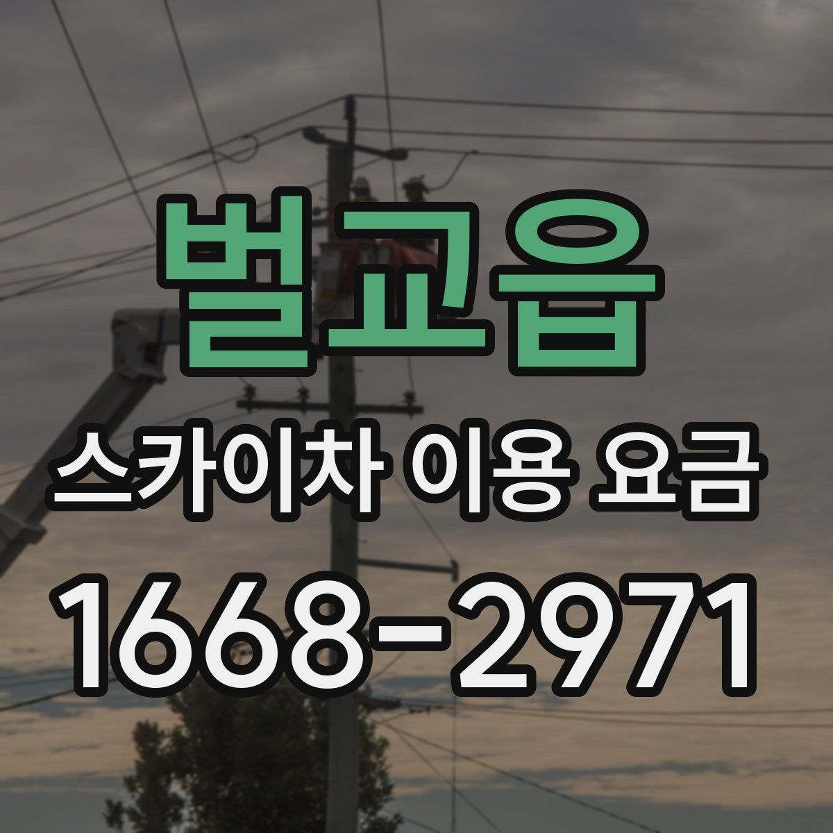 벌교읍 스카이차 이용 요금