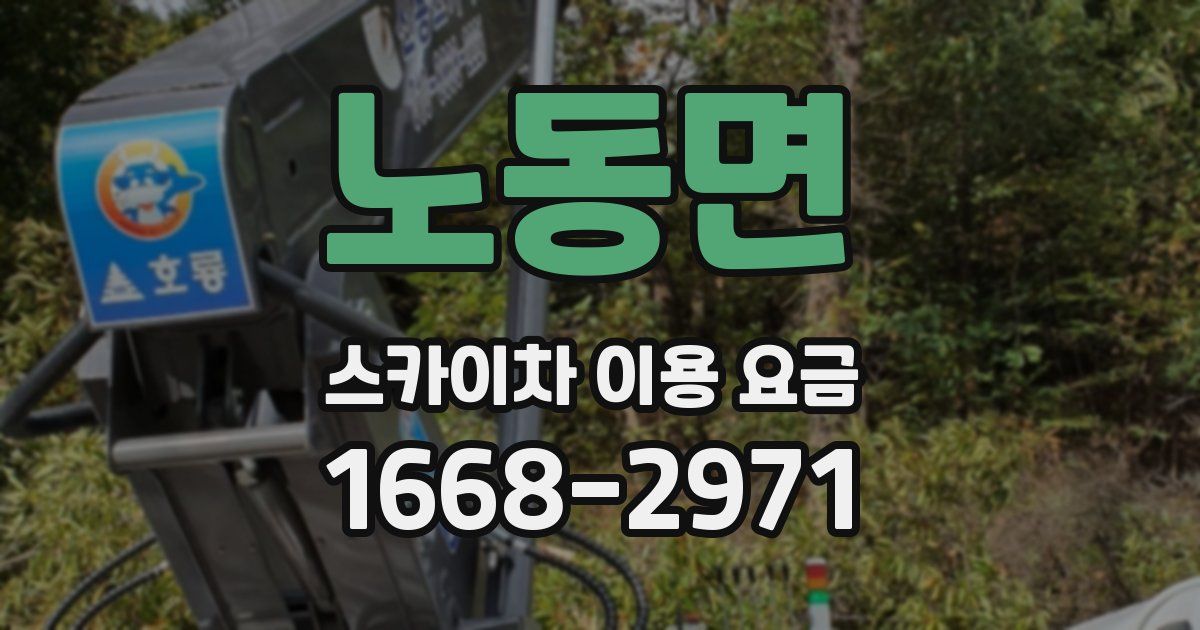 노동면 스카이차 이용 요금
