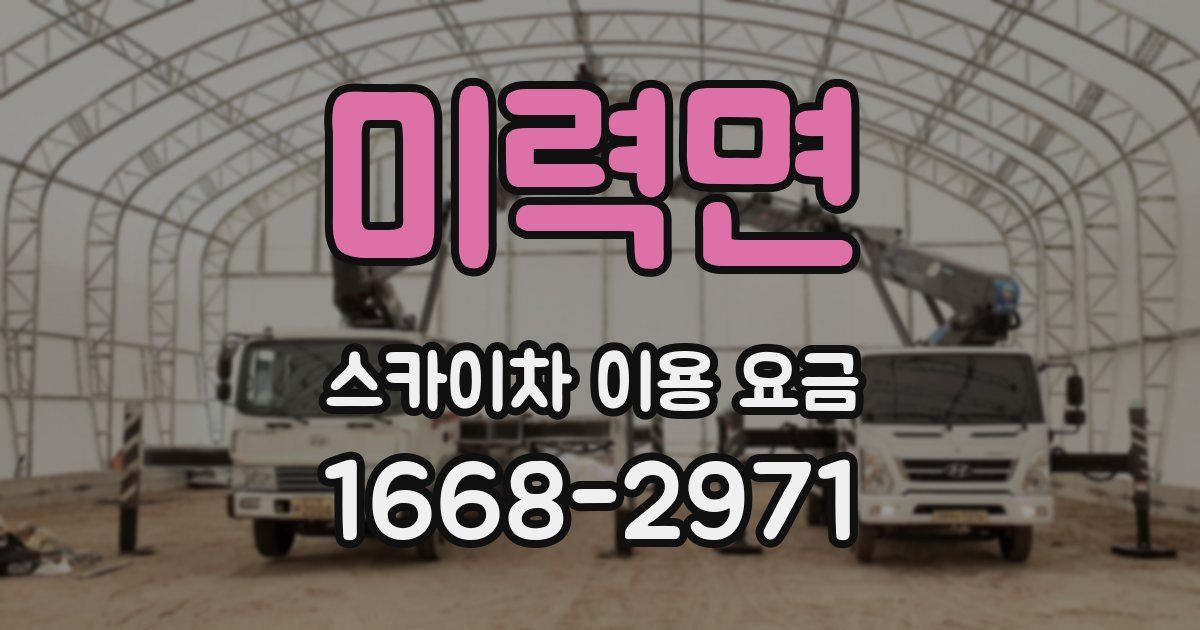 미력면 스카이차 이용 요금