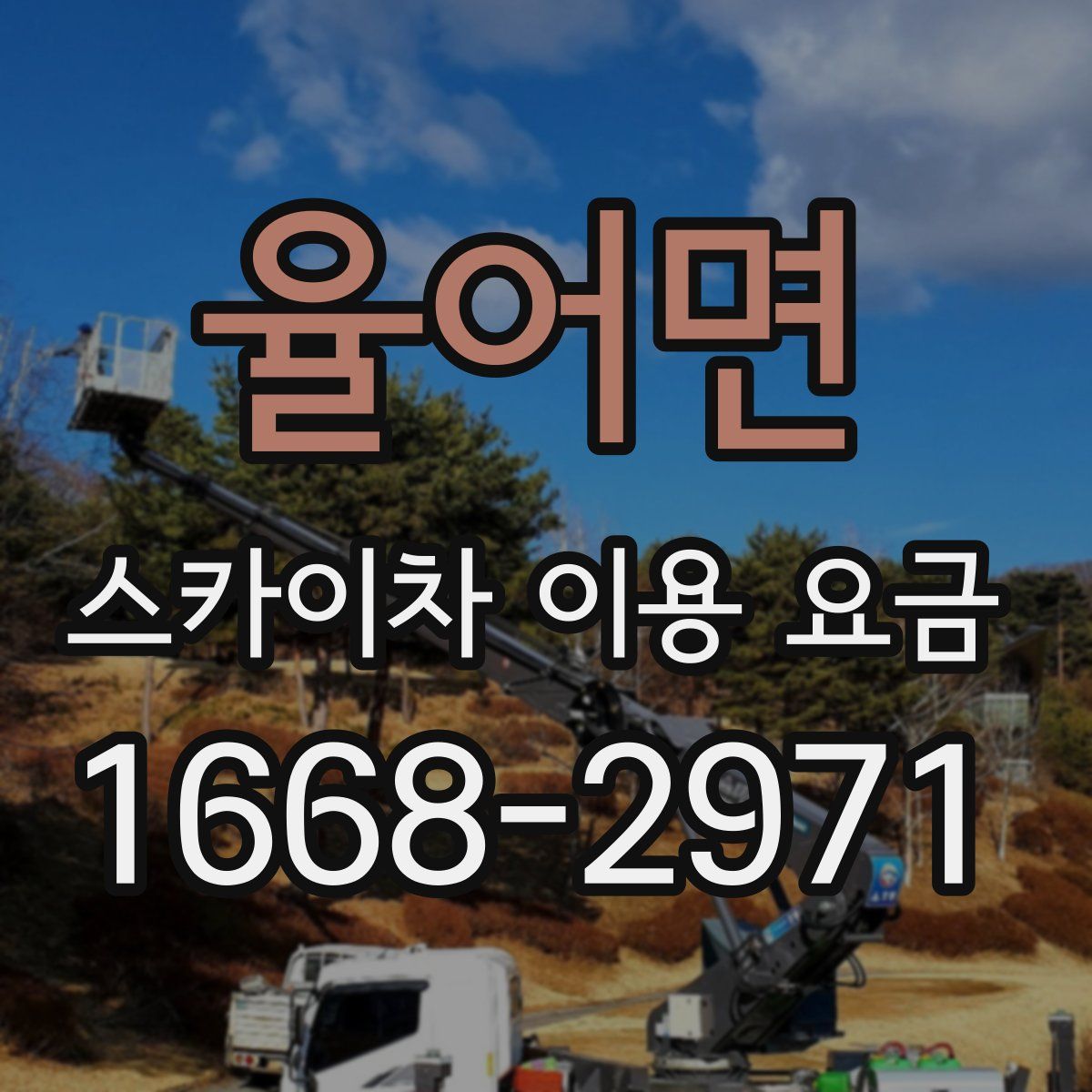 율어면 스카이차 이용 요금