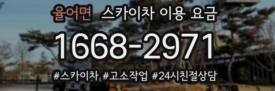 율어면 스카이차 이용 요금