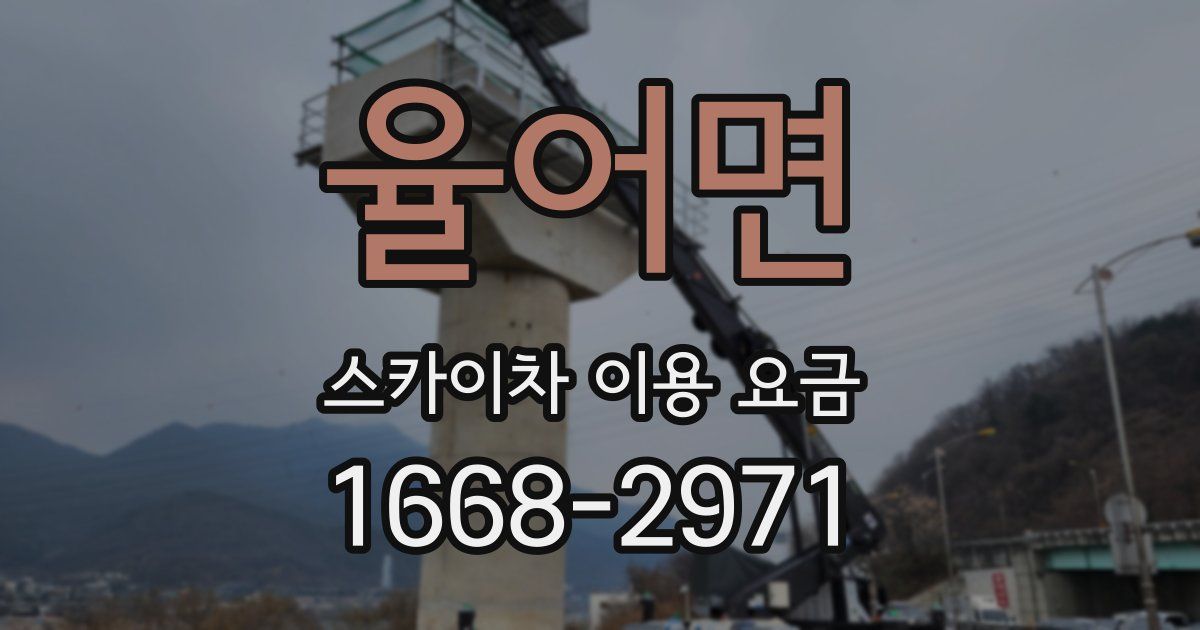 율어면 스카이차 이용 요금