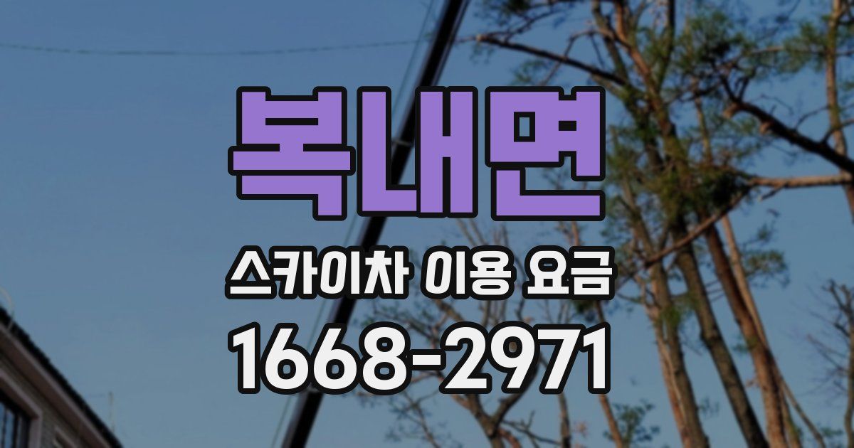 복내면 스카이차 이용 요금