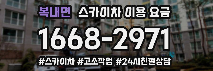 복내면 스카이차 이용 요금
