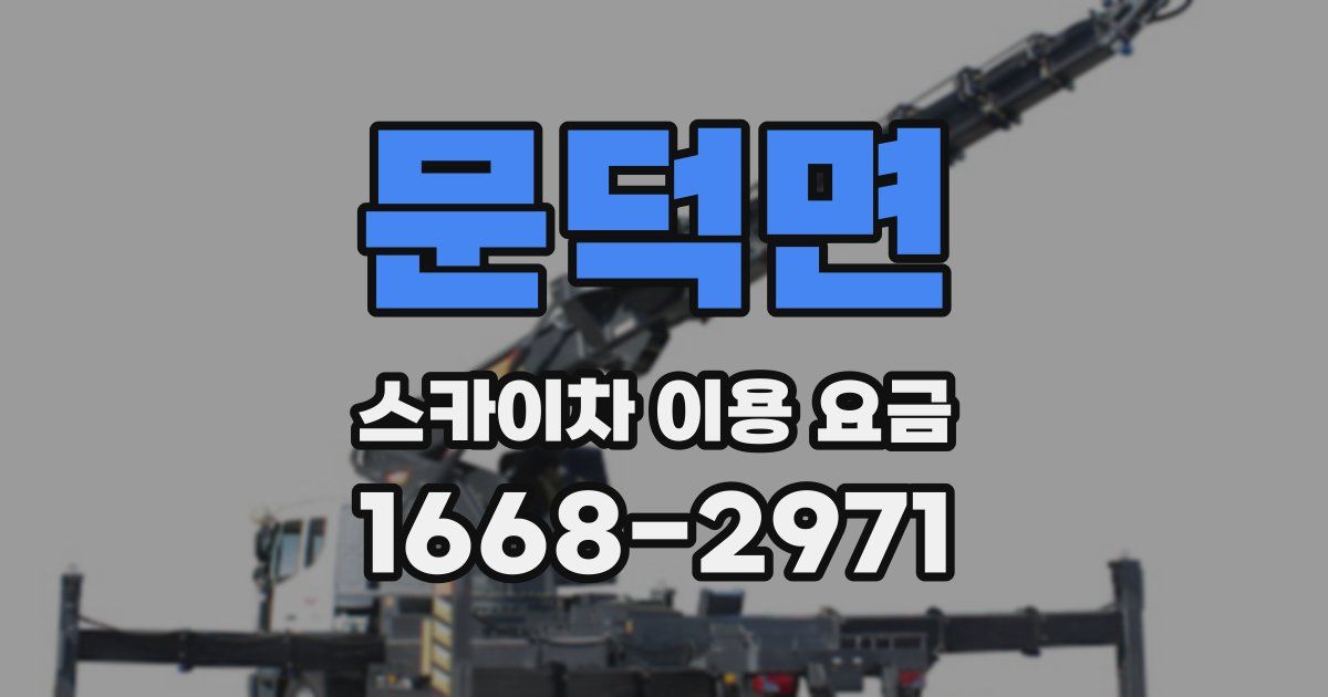 문덕면 스카이차 이용 요금