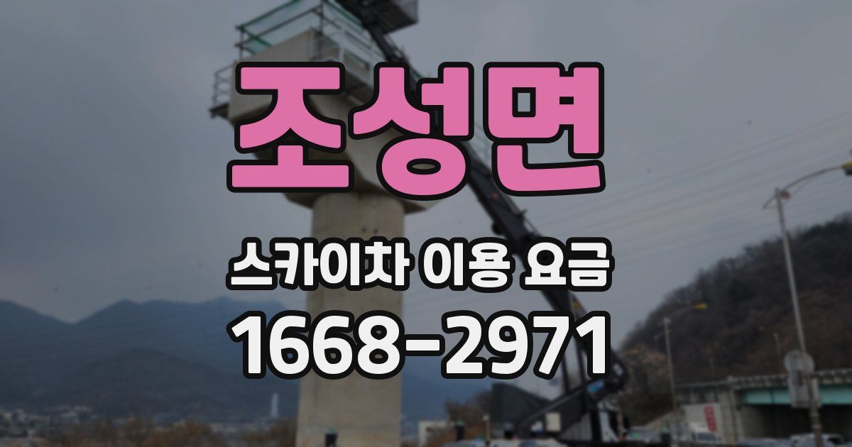 조성면 스카이차 이용 요금