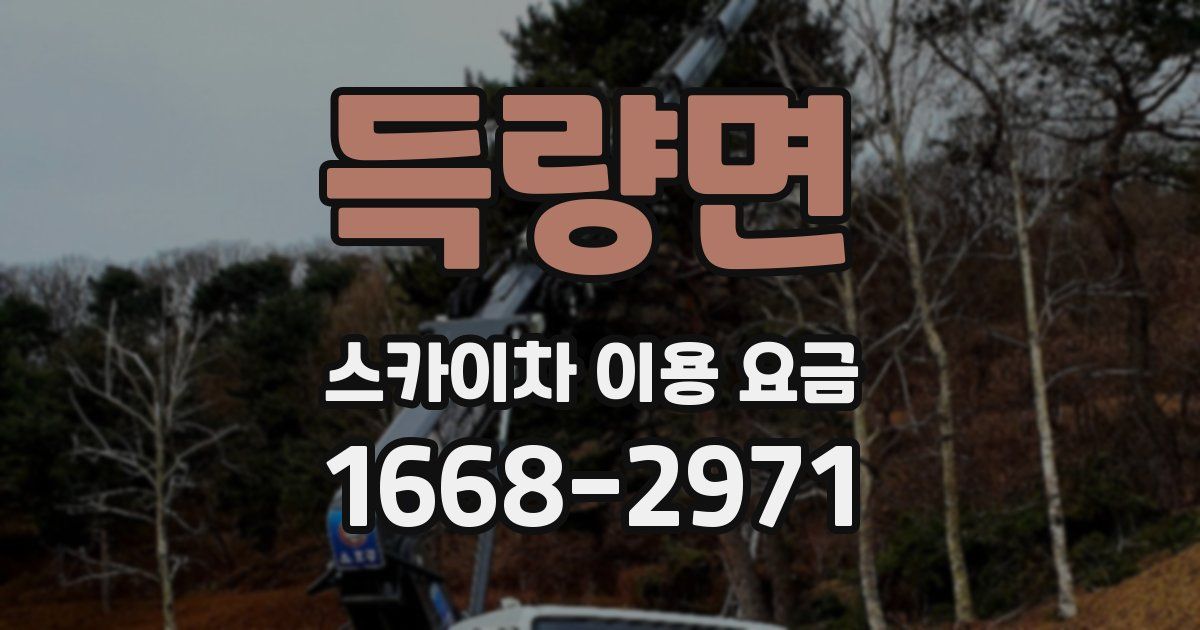 득량면 스카이차 이용 요금