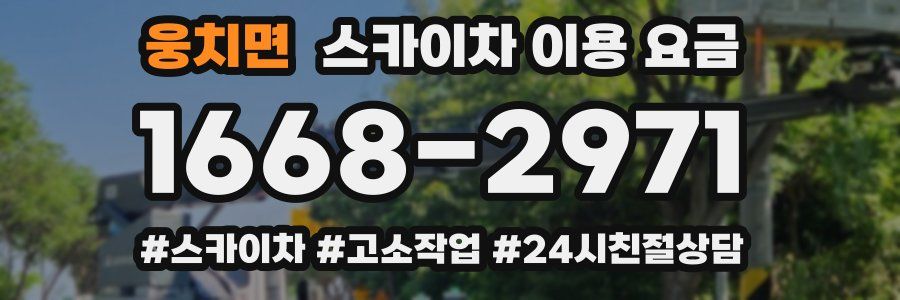 웅치면 스카이차 이용 요금